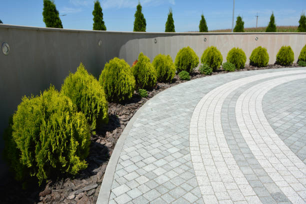 Best Local Driveway Pavers  in Viera West, FL